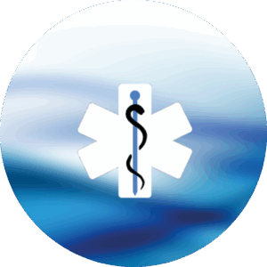 Medusa Logo