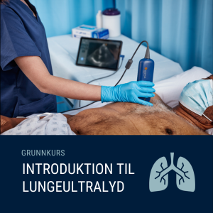Introduktion til lungeultralyd